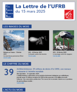 LETTRE UFRB – L&rsquo;Actu du mois