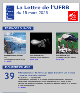 LETTRE UFRB – L&rsquo;Actu du mois